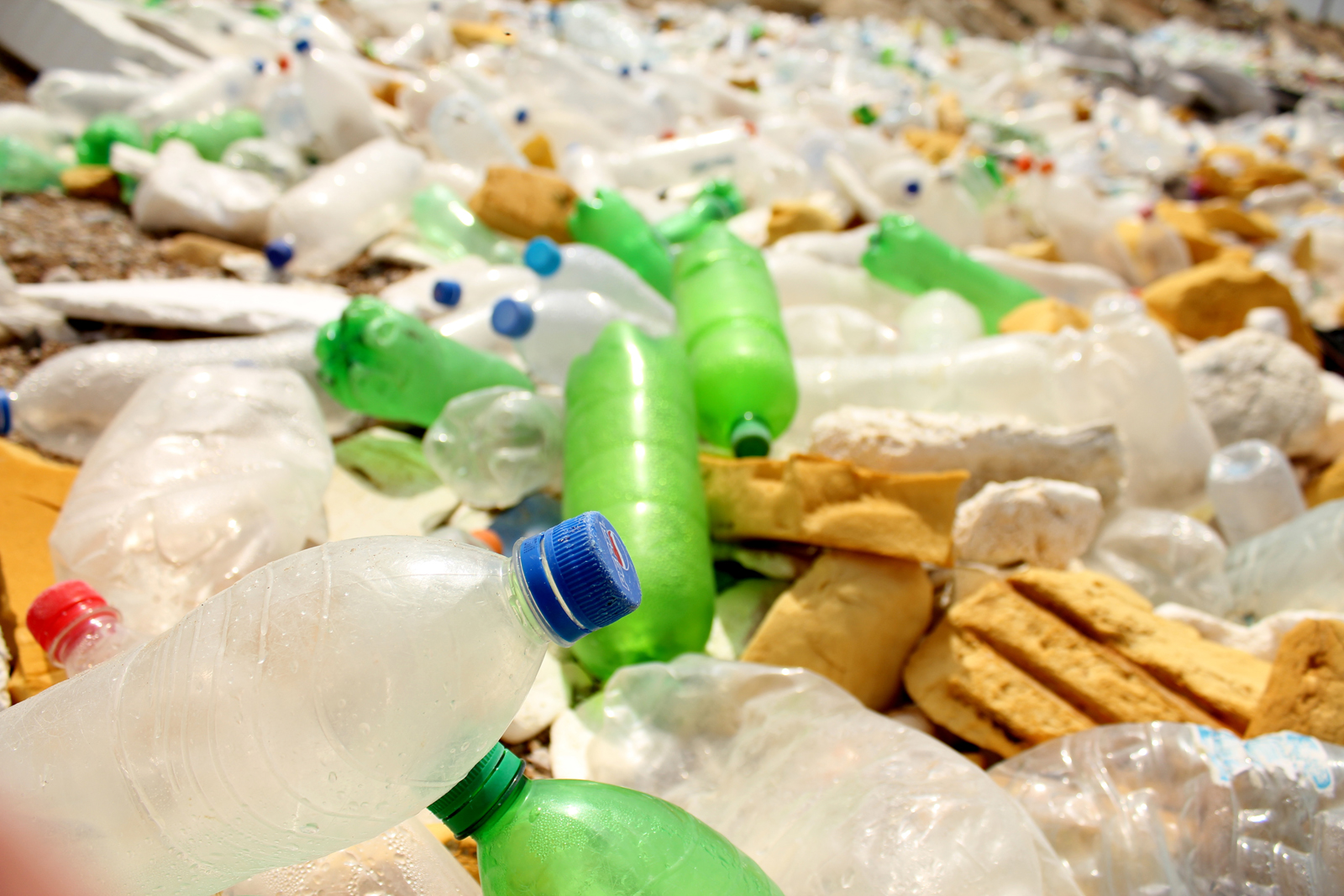 Waste-Plastic-Bottles - AskTheRightQuestion